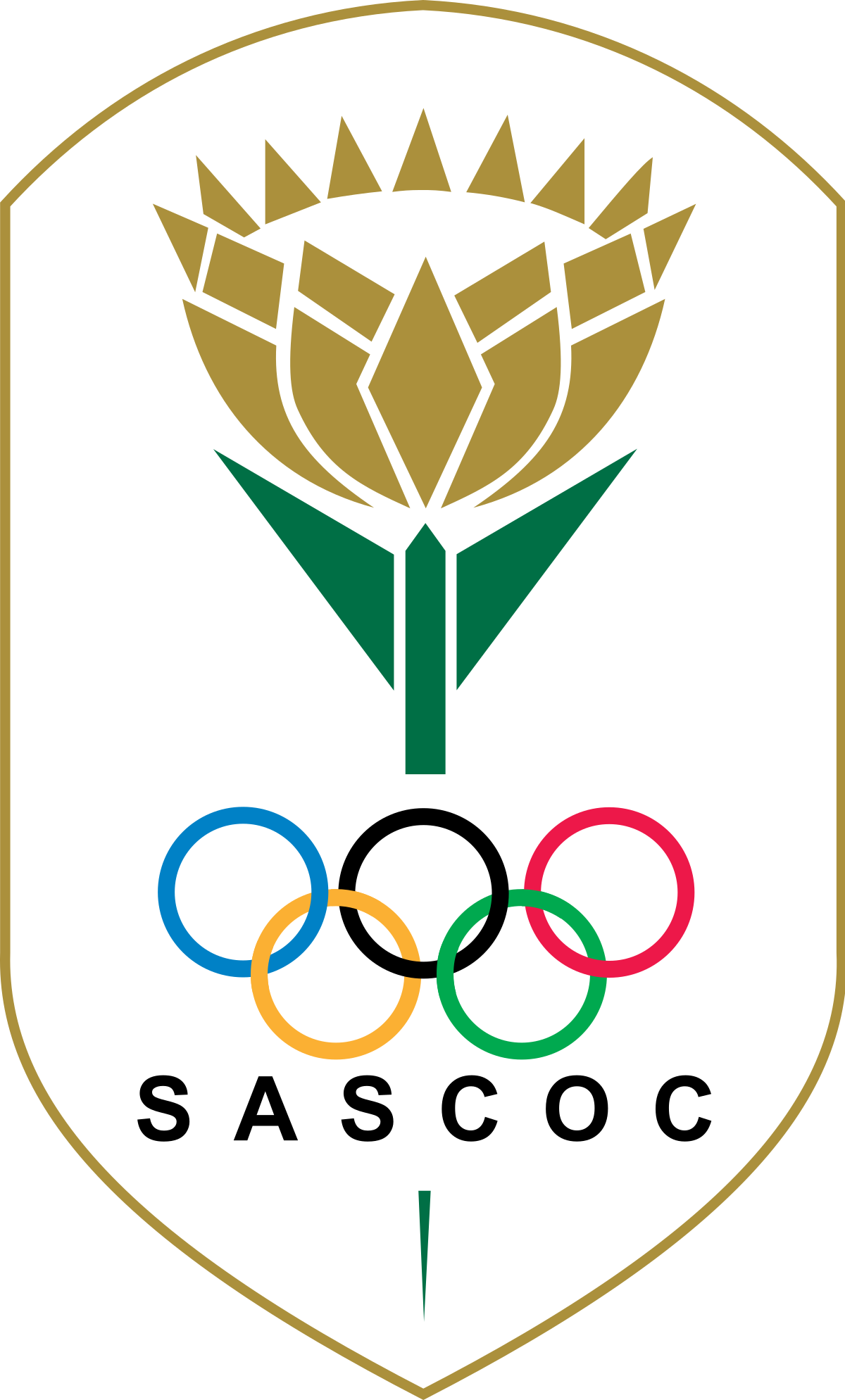 https://sport.sun.ac.za/wp-content/uploads/2022/05/South_African_Sports_Confederation_and_Olympic_Committee_logo.svg_.png